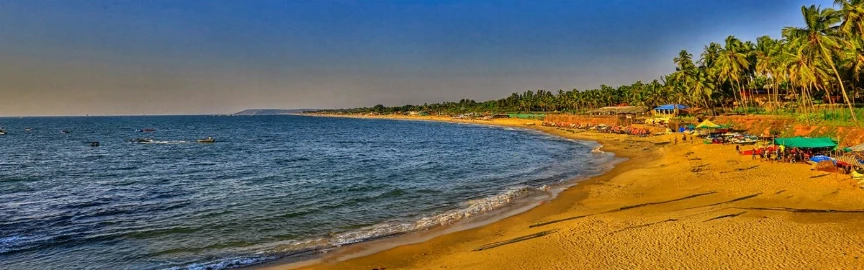  10 Things To Do In Calangute