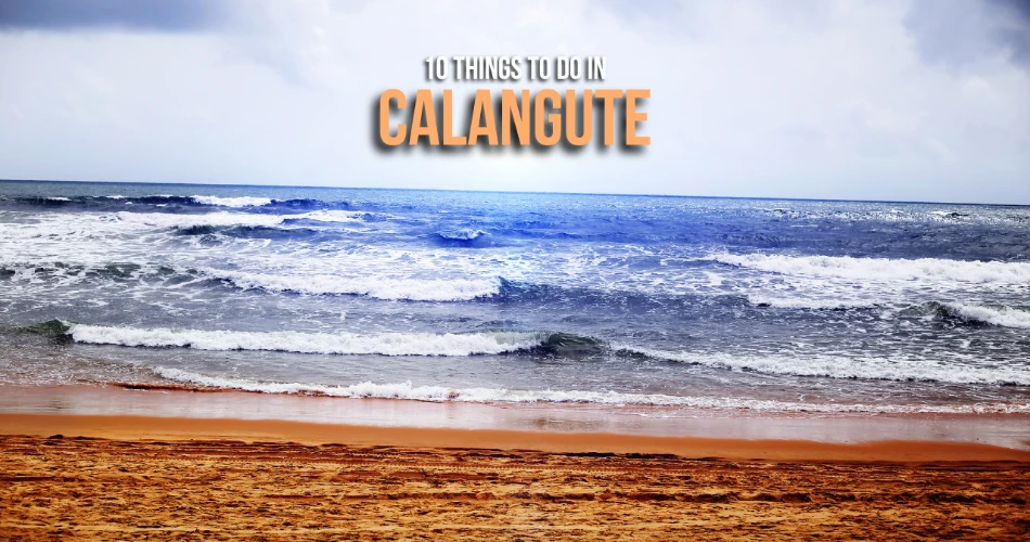  10 Things To Do In Calangute