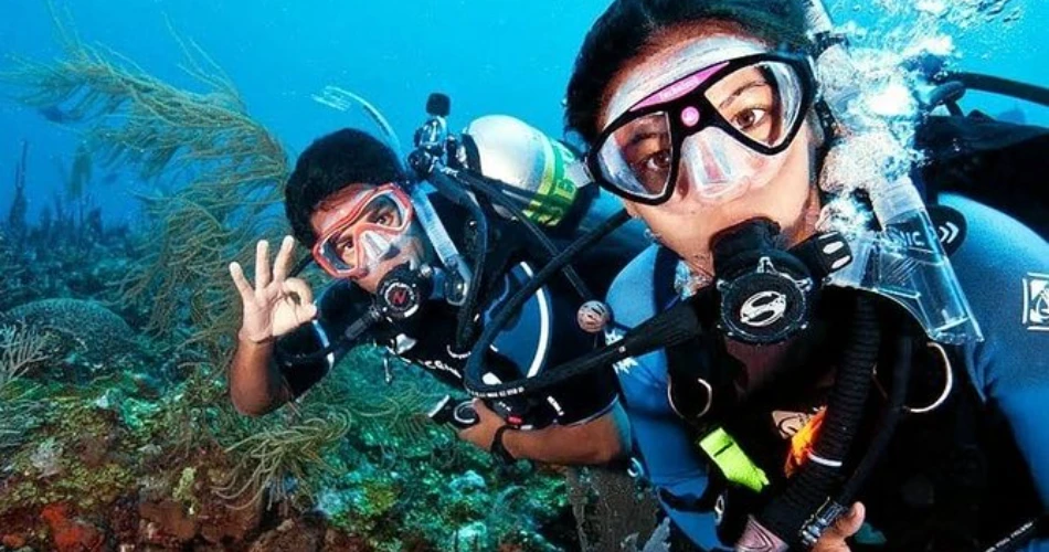  10 Things To Do In Calangute